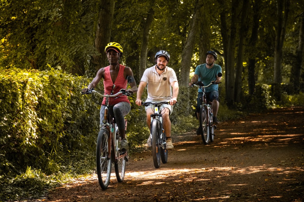 3 cyclistes se promènent en forêt