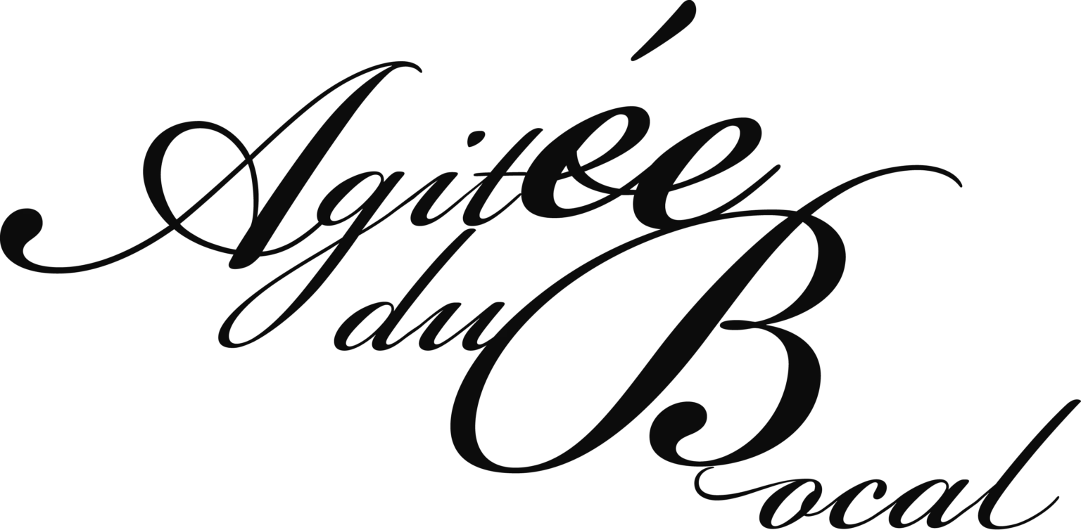 L'Agitée du Bocal